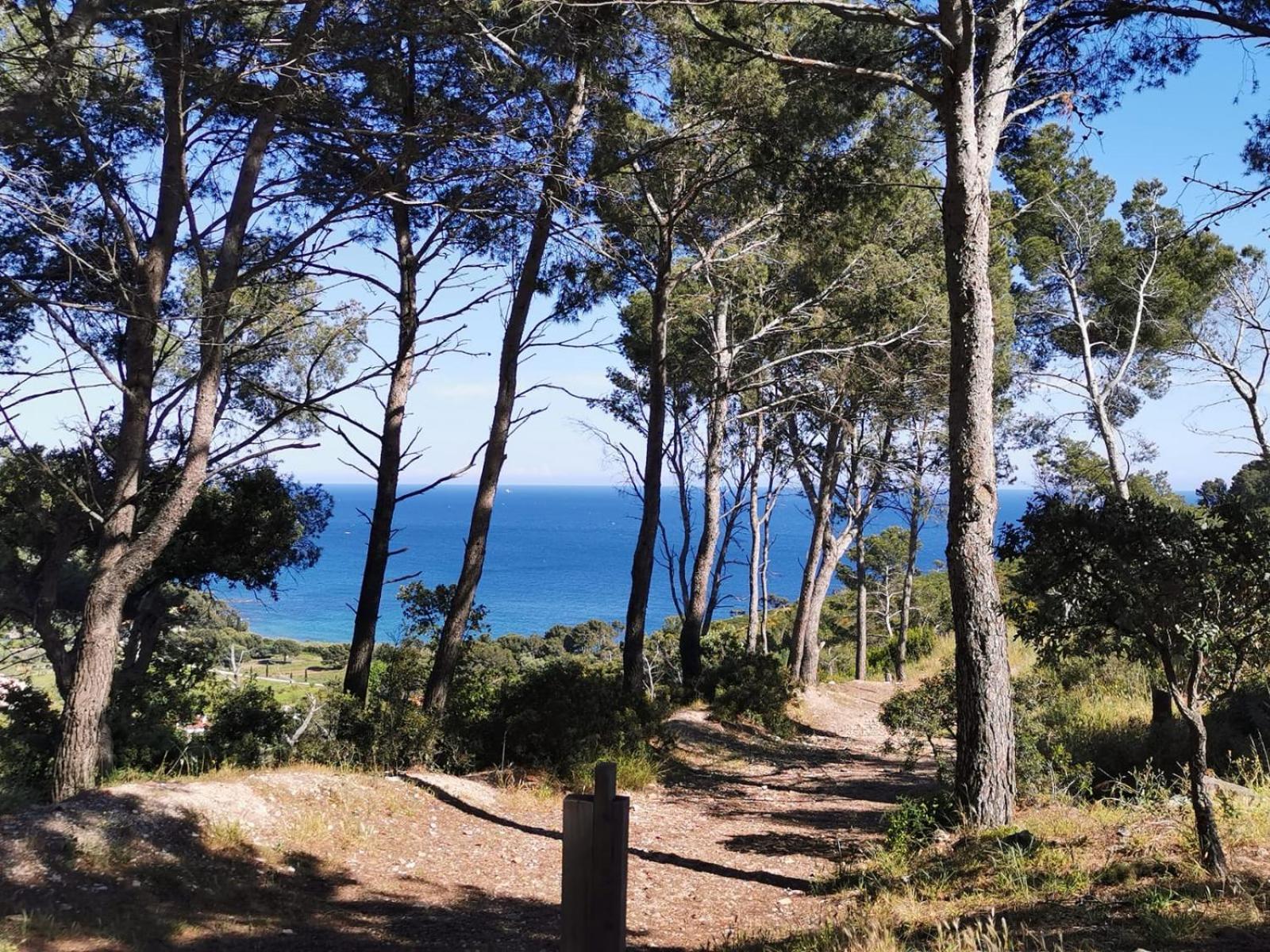 סן-מנדרייה-סור-מר Petit Paradis - St Mandrier Village מראה חיצוני תמונה